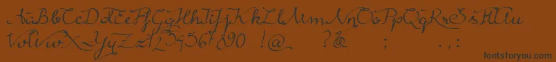 RainyWind Font – Black Fonts on Brown Background