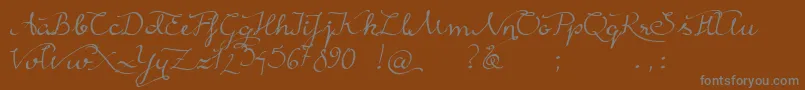 More about RainyWind Font RainyWind Font – Gray Fonts on Brown Background