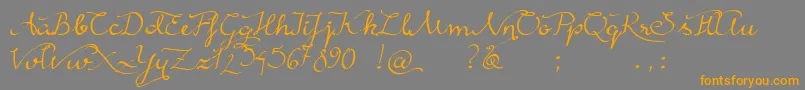RainyWind Font – Orange Fonts on Gray Background