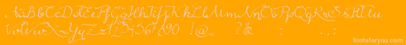 RainyWind Font – Pink Fonts on Orange Background