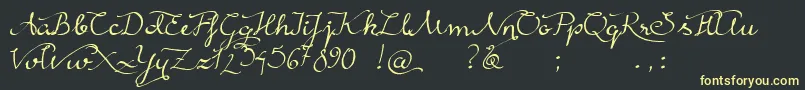 RainyWind Font – Yellow Fonts on Black Background
