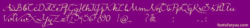 RainyWind Font – Yellow Fonts on Purple Background