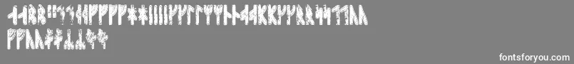 Sleipnirrunic Font – White Fonts on Gray Background