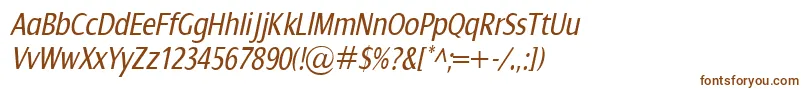 DialogCondItalic Font – Brown Fonts on White Background