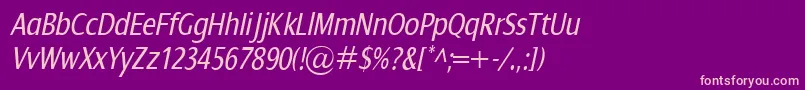 DialogCondItalic Font – Pink Fonts on Purple Background