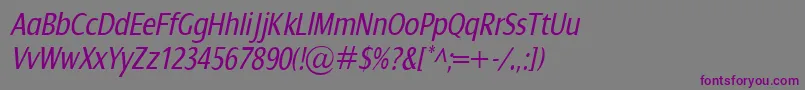 DialogCondItalic Font – Purple Fonts on Gray Background
