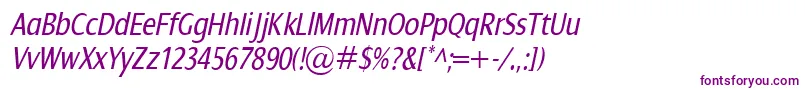 DialogCondItalic Font – Purple Fonts on White Background