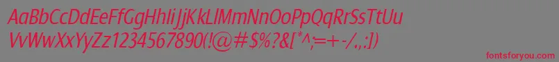 DialogCondItalic Font – Red Fonts on Gray Background
