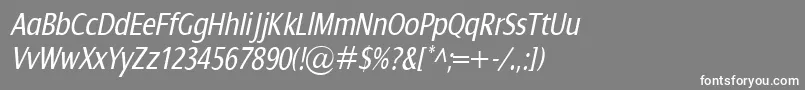 DialogCondItalic Font – White Fonts on Gray Background