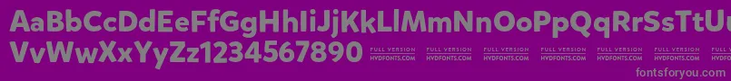 MikadoboldDemo Font – Gray Fonts on Purple Background