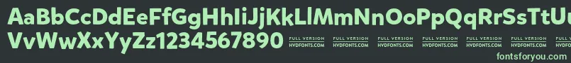 MikadoboldDemo Font – Green Fonts on Black Background