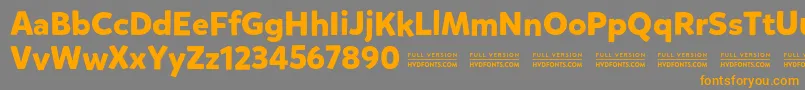 MikadoboldDemo Font – Orange Fonts on Gray Background