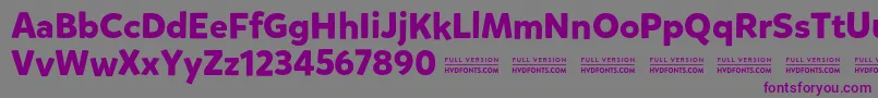 MikadoboldDemo Font – Purple Fonts on Gray Background