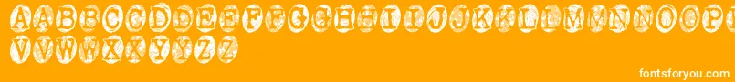 Czcionka Powdrfs – białe czcionki na pomarańczowym tle