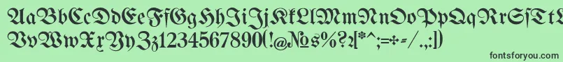 BertholdrMainzerFraktur Font – Black Fonts on Green Background