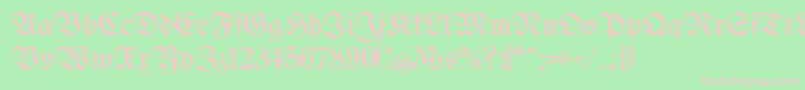 BertholdrMainzerFraktur Font – Pink Fonts on Green Background