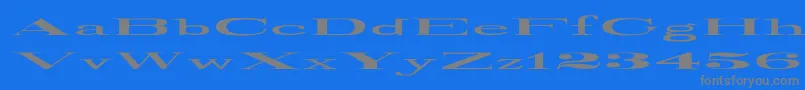 RailroadRoman1916UltraExpanded Font – Gray Fonts on Blue Background