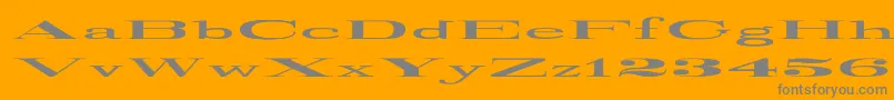 RailroadRoman1916UltraExpanded Font – Gray Fonts on Orange Background