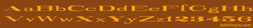 RailroadRoman1916UltraExpanded Font – Orange Fonts on Brown Background