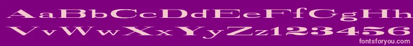 Weitere Informationen zur RailroadRoman1916UltraExpanded-Schriftart RailroadRoman1916UltraExpanded-Schriftart – Rosa Schriften auf violettem Hintergrund