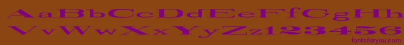 RailroadRoman1916UltraExpanded Font – Purple Fonts on Brown Background