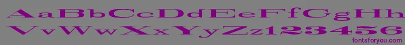 RailroadRoman1916UltraExpanded Font – Purple Fonts on Gray Background