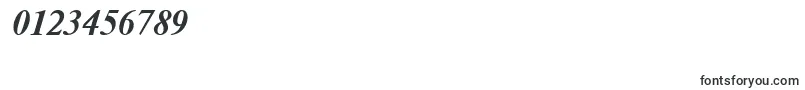 NewtonBoldItalic-Schriftart – Schriften für Zahlen und Nummern