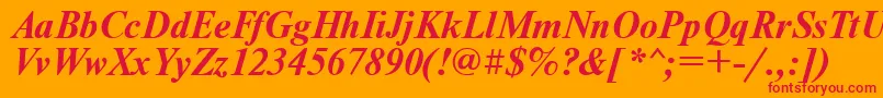 NewtonBoldItalic Font – Red Fonts on Orange Background