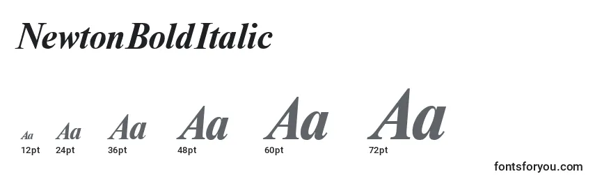 Größen der Schriftart NewtonBoldItalic