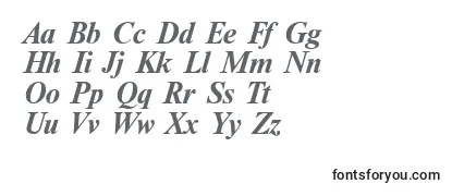 NewtonBoldItalic Font