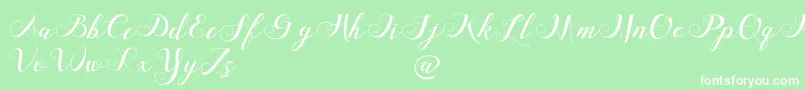 FriendsdavinciDemo Font – White Fonts on Green Background