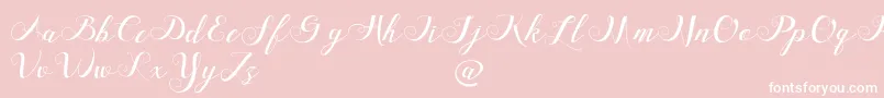 FriendsdavinciDemo-Schriftart – Weiße Schriften auf rosa Hintergrund