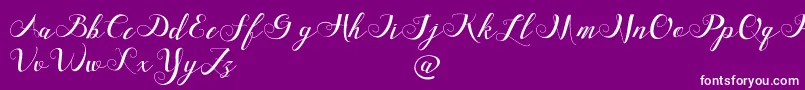 FriendsdavinciDemo Font – White Fonts on Purple Background