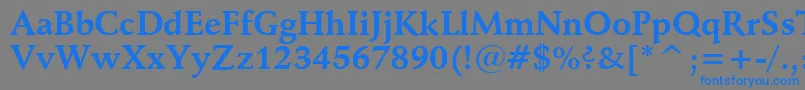 フォントSchneidlerBoldBt – 灰色の背景に青い文字