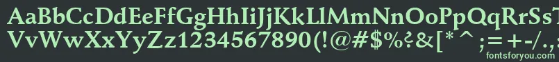 フォントSchneidlerBoldBt – 黒い背景に緑の文字