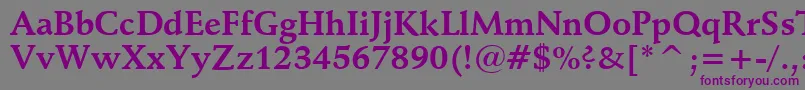 SchneidlerBoldBt Font – Purple Fonts on Gray Background