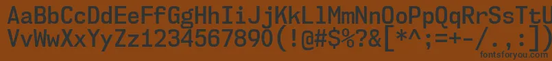 Nk57MonospaceScSb Font – Black Fonts on Brown Background