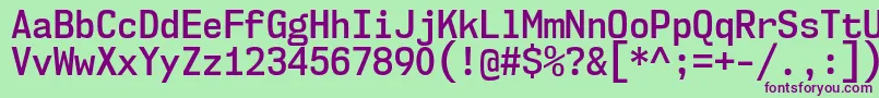 Nk57MonospaceScSb Font – Purple Fonts on Green Background