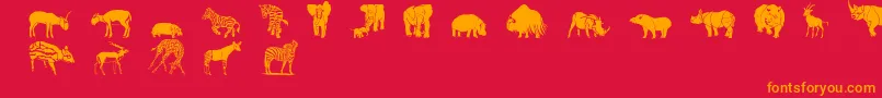 Wwsafari Font – Orange Fonts on Red Background