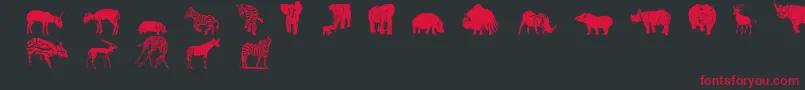 フォントWwsafari – 黒い背景に赤い文字