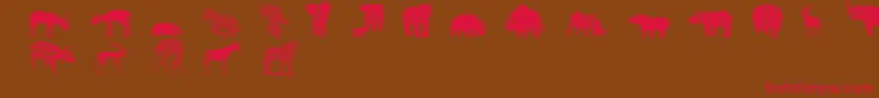 Wwsafari Font – Red Fonts on Brown Background