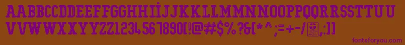 TypoCollegeShiningDemo Font – Purple Fonts on Brown Background