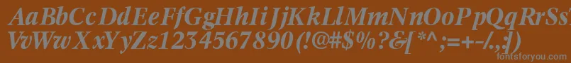 フォントInformaticsssk ffy – 茶色の背景に灰色の文字