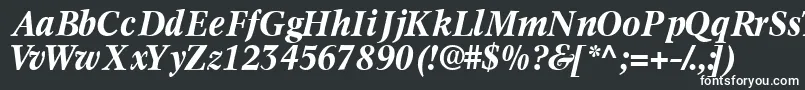 フォントInformaticsssk ffy – 黒い背景に白い文字