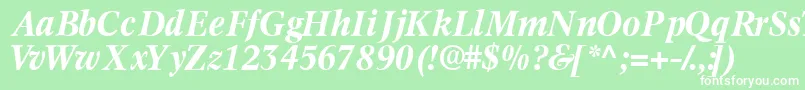 Informaticsssk ffy Font – White Fonts on Green Background