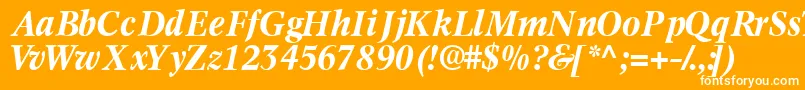 フォントInformaticsssk ffy – オレンジの背景に白い文字