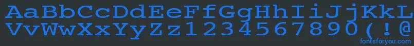 フォントNtcouriervkNormal140n – 黒い背景に青い文字
