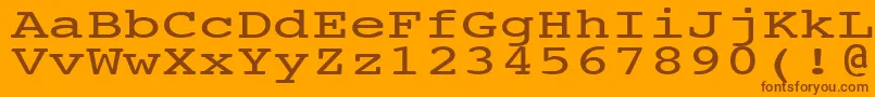 Czcionka NtcouriervkNormal140n – brązowe czcionki na pomarańczowym tle