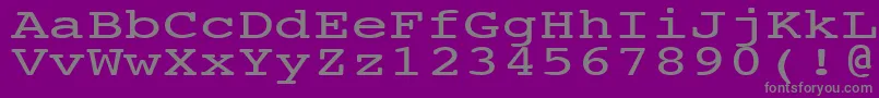 フォントNtcouriervkNormal140n – 紫の背景に灰色の文字