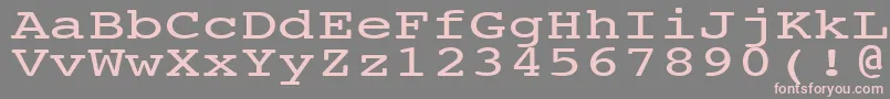 フォントNtcouriervkNormal140n – 灰色の背景にピンクのフォント